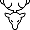 RTL Layout
